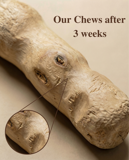 PetSolaceClub™ Coffee Wood Chew
