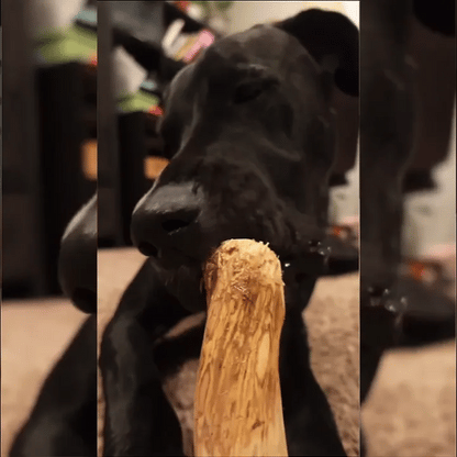 PetSolaceClub™ Coffee Wood Chew